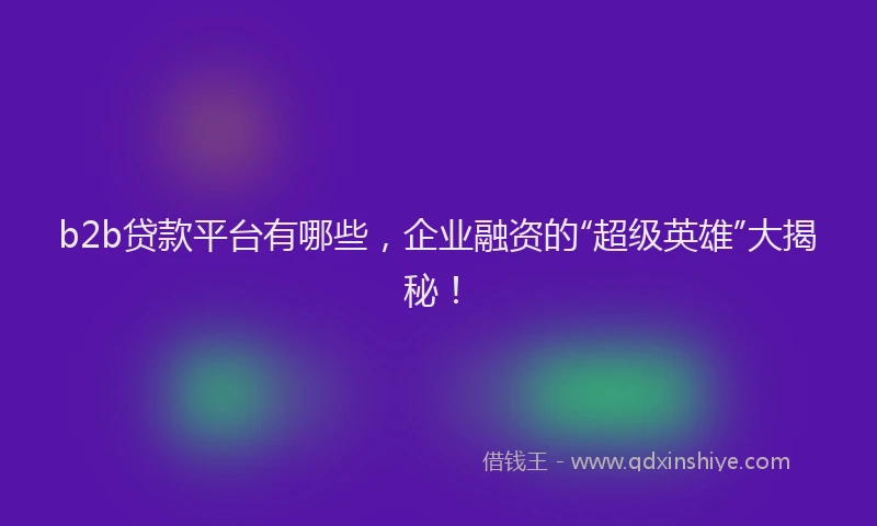 b2b贷款平台有哪些，企业融资的“超级英雄”大揭秘！