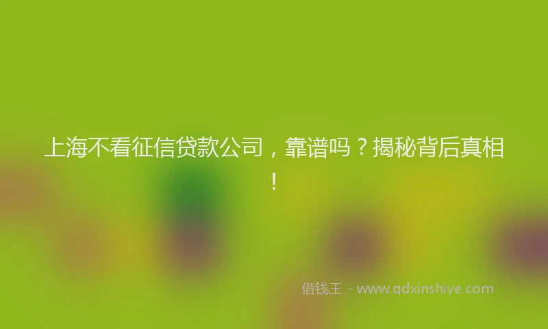 上海不看征信贷款公司，靠谱吗？揭秘背后真相！
