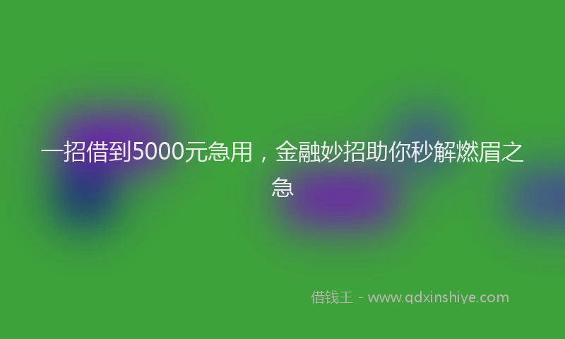 一招借到5000元急用，金融妙招助你秒解燃眉之急