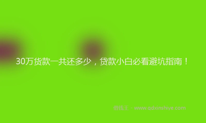 30万货款一共还多少，贷款小白必看避坑指南！