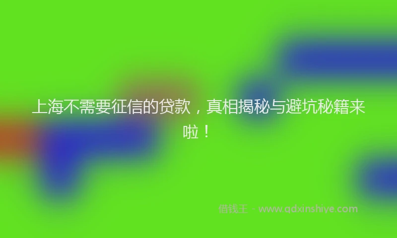 上海不需要征信的贷款，真相揭秘与避坑秘籍来啦！