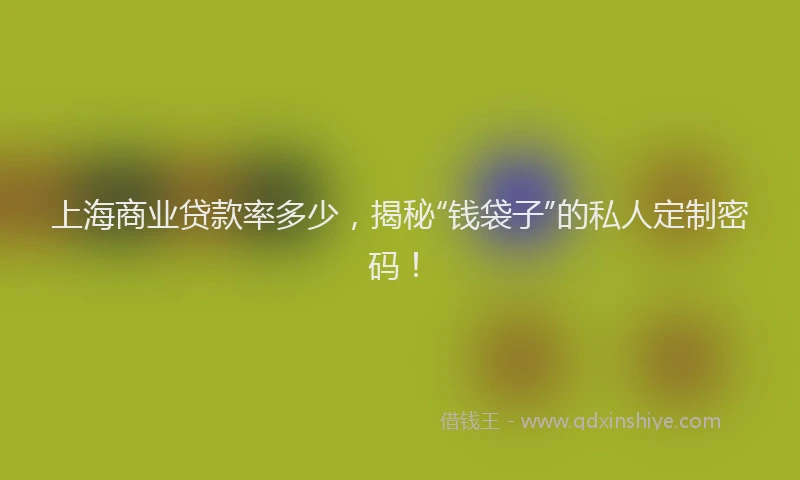 上海商业贷款率多少，揭秘“钱袋子”的私人定制密码！