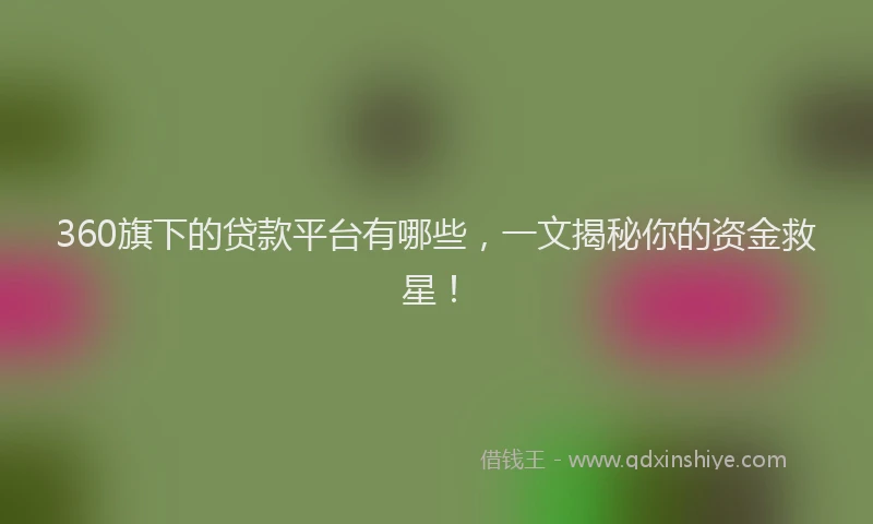 360旗下的贷款平台有哪些，一文揭秘你的资金救星！