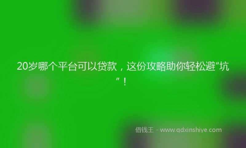 20岁哪个平台可以贷款，这份攻略助你轻松避“坑”！