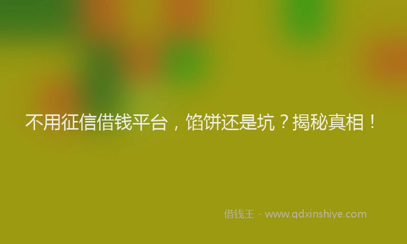 不用征信借钱平台，馅饼还是坑？揭秘真相！