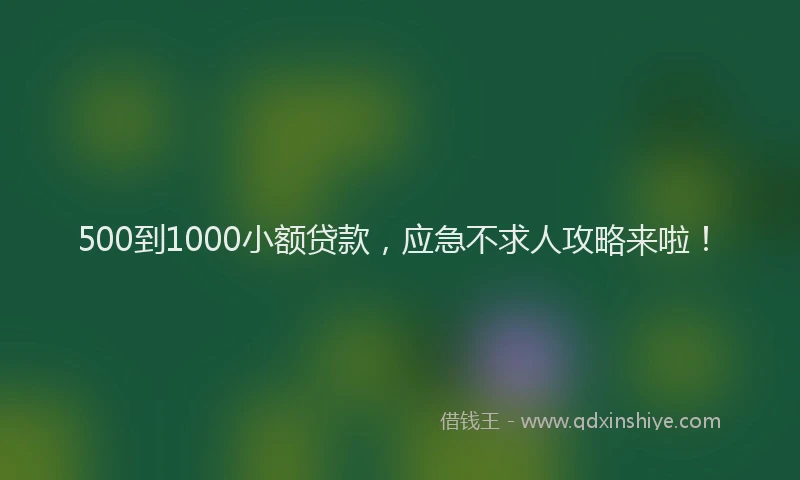 500到1000小额贷款，应急不求人攻略来啦！
