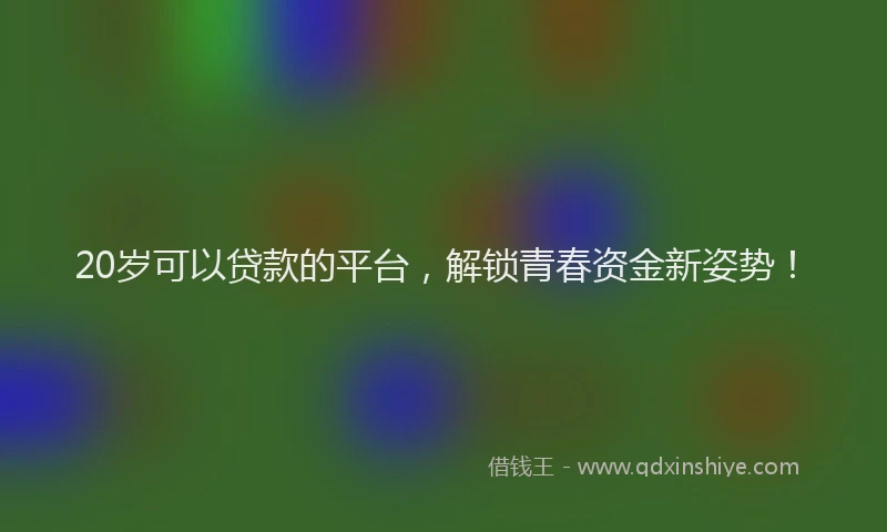 20岁可以贷款的平台，解锁青春资金新姿势！