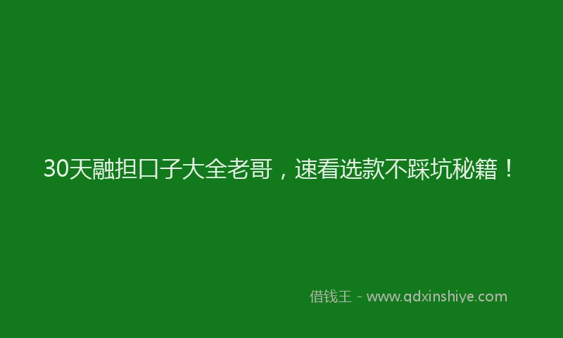 30天融担口子大全老哥，速看选款不踩坑秘籍！