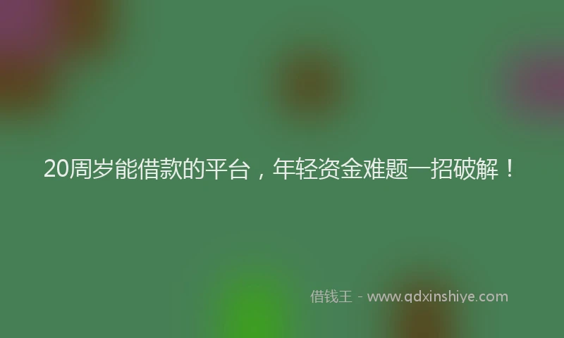 20周岁能借款的平台,年轻资金难题一招破解!