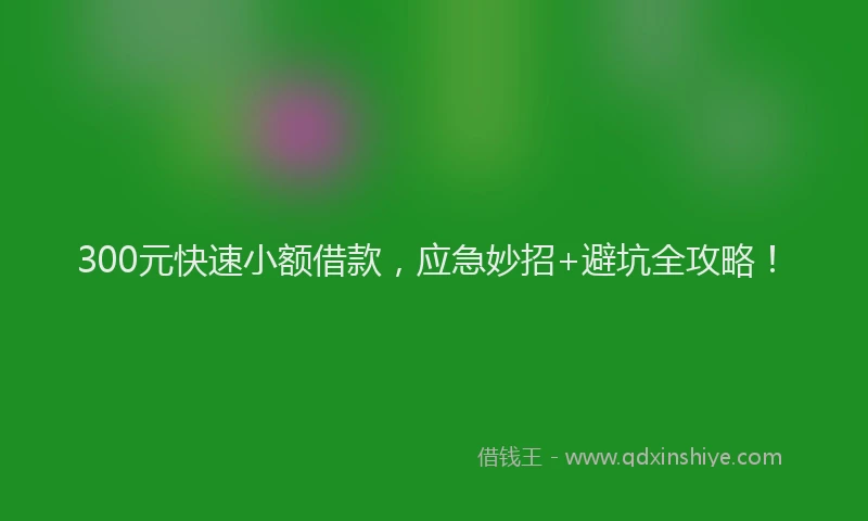 300元快速小额借款，应急妙招+避坑全攻略！