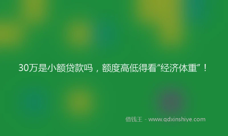 30万是小额贷款吗，额度高低得看“经济体重”！