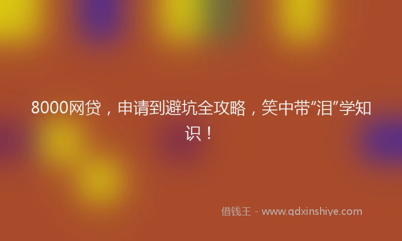 8000网贷，申请到避坑全攻略，笑中带“泪”学知识！