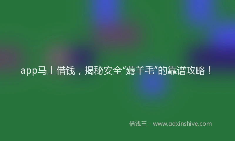 app马上借钱，揭秘安全“薅羊毛”的靠谱攻略！