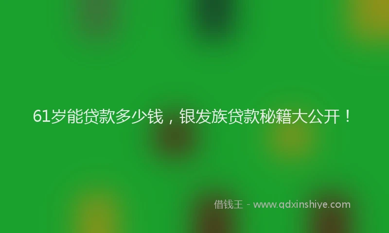 61岁能贷款多少钱，银发族贷款秘籍大公开！