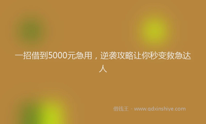 一招借到5000元急用，逆袭攻略让你秒变救急达人