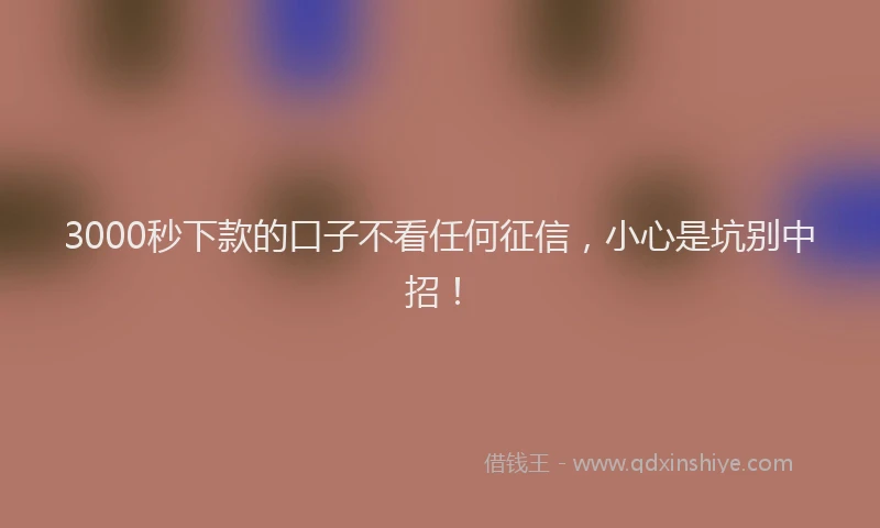 3000秒下款的口子不看任何征信，小心是坑别中招！