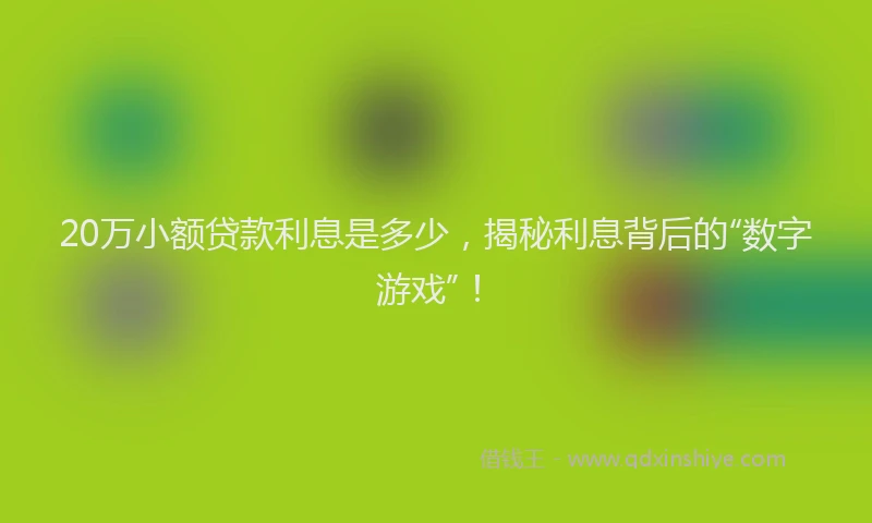 20万小额贷款利息是多少，揭秘利息背后的“数字游戏”！