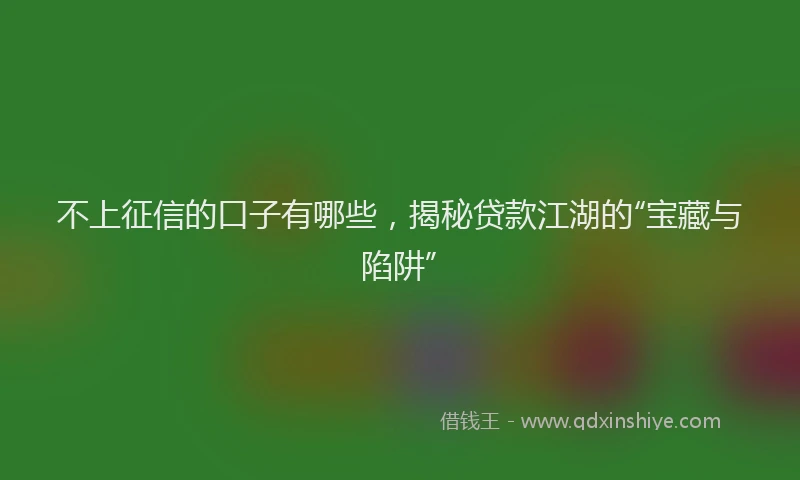 不上征信的口子有哪些，揭秘贷款江湖的“宝藏与陷阱”