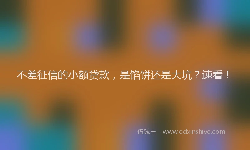 不差征信的小额贷款，是馅饼还是大坑？速看！