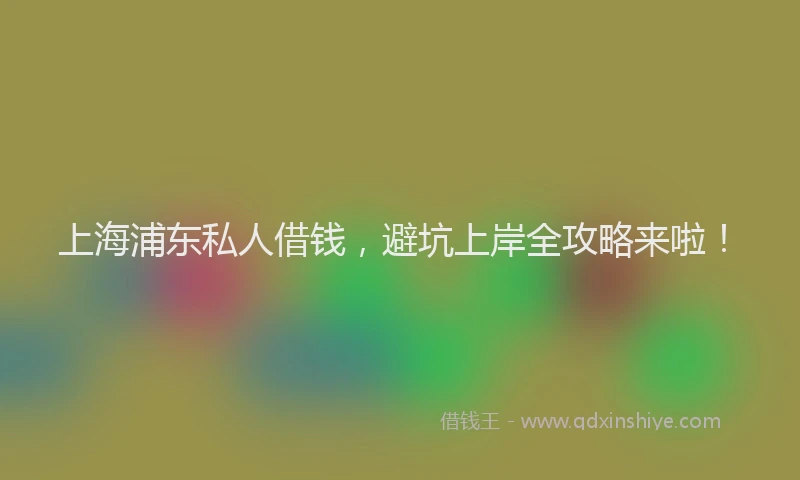 上海浦东私人借钱，避坑上岸全攻略来啦！