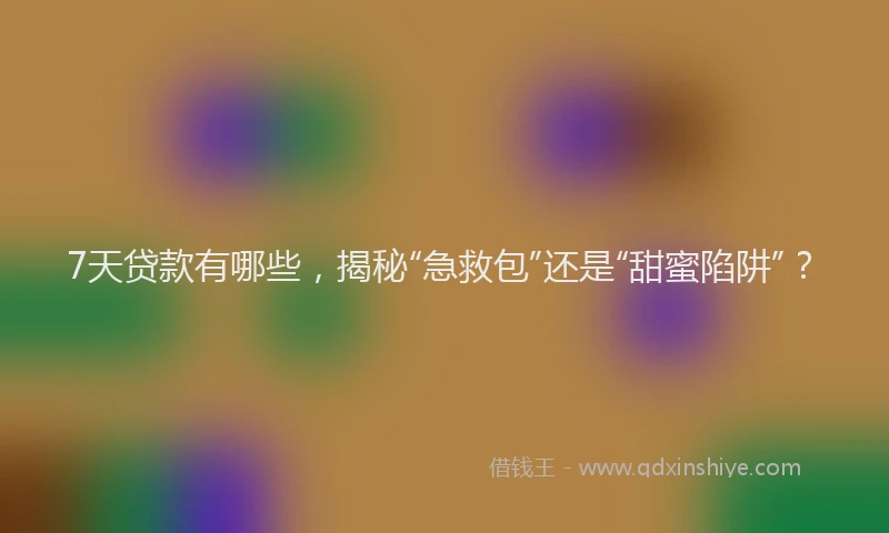 7天贷款有哪些，揭秘“急救包”还是“甜蜜陷阱”？