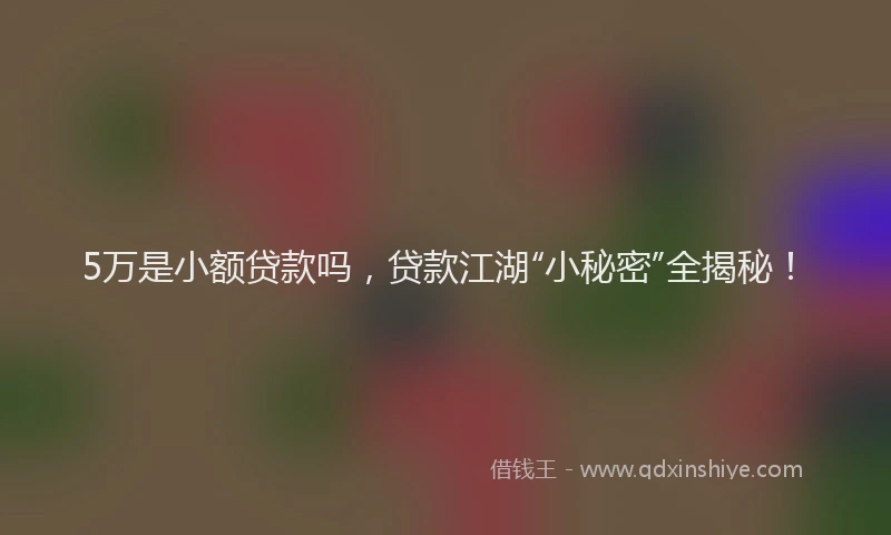 5万是小额贷款吗，贷款江湖“小秘密”全揭秘！
