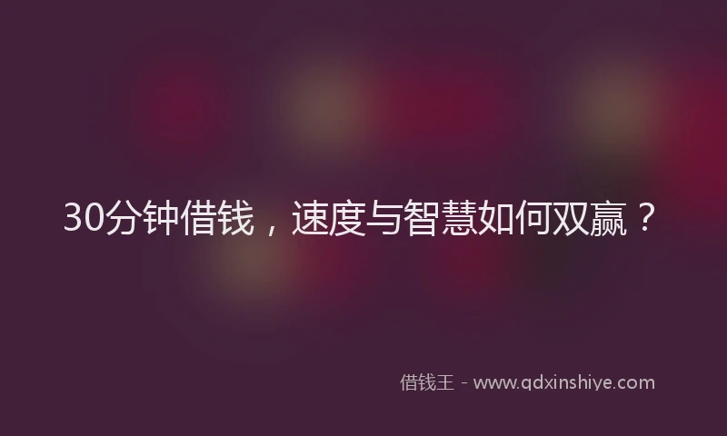 30分钟借钱，速度与智慧如何双赢？