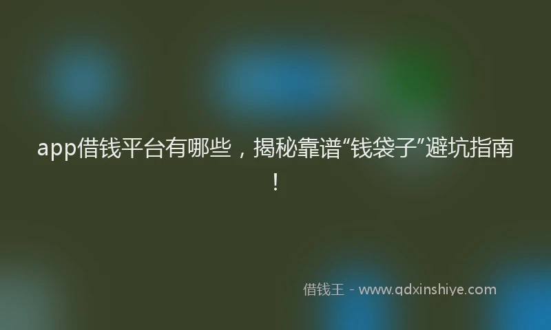 app借钱平台有哪些，揭秘靠谱“钱袋子”避坑指南！