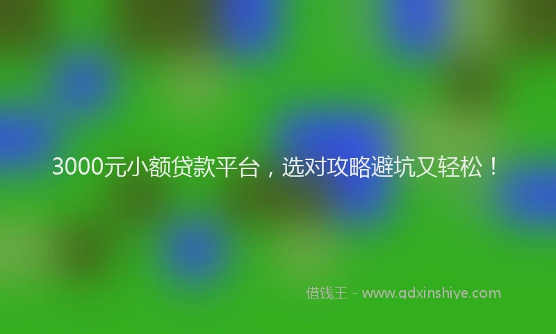 3000元小额贷款平台，选对攻略避坑又轻松！