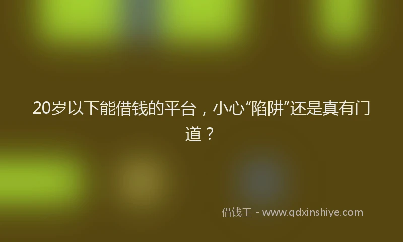 20岁以下能借钱的平台，小心“陷阱”还是真有门道？