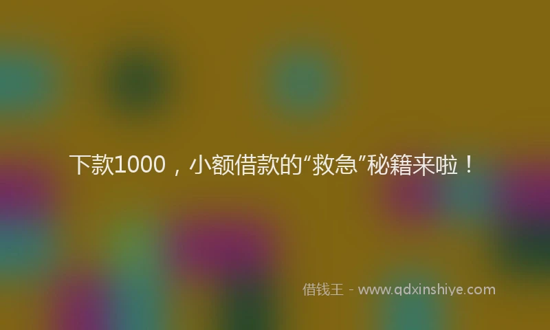 下款1000，小额借款的“救急”秘籍来啦！
