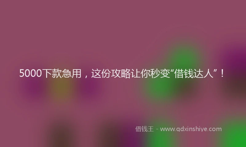 5000下款急用，这份攻略让你秒变“借钱达人”！
