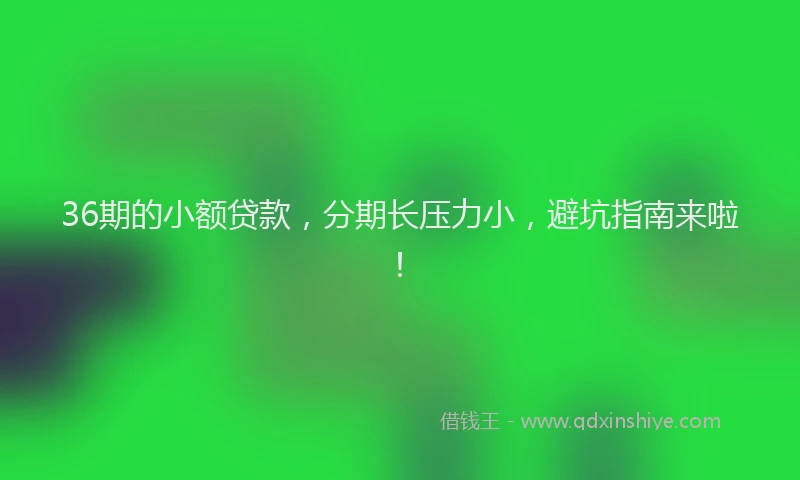 36期的小额贷款，分期长压力小，避坑指南来啦！