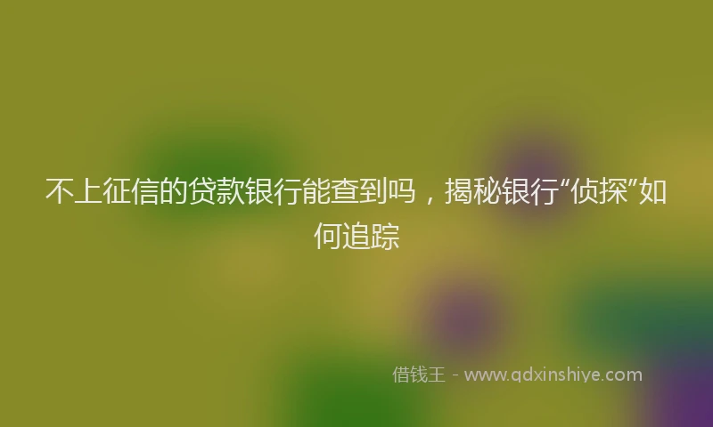 不上征信的贷款银行能查到吗，揭秘银行“侦探”如何追踪