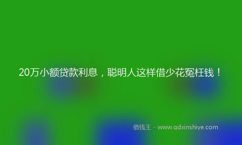 20万小额贷款利息，聪明人这样借少花冤枉钱！