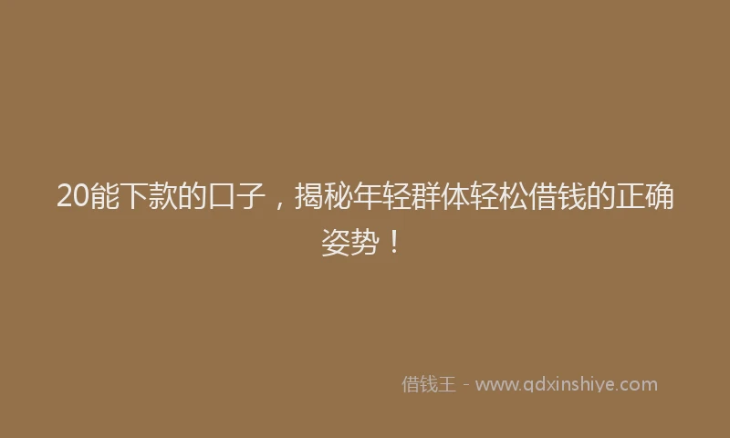 20能下款的口子，揭秘年轻群体轻松借钱的正确姿势！