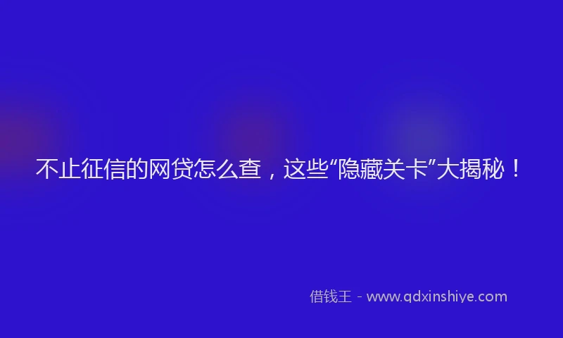 不止征信的网贷怎么查，这些“隐藏关卡”大揭秘！