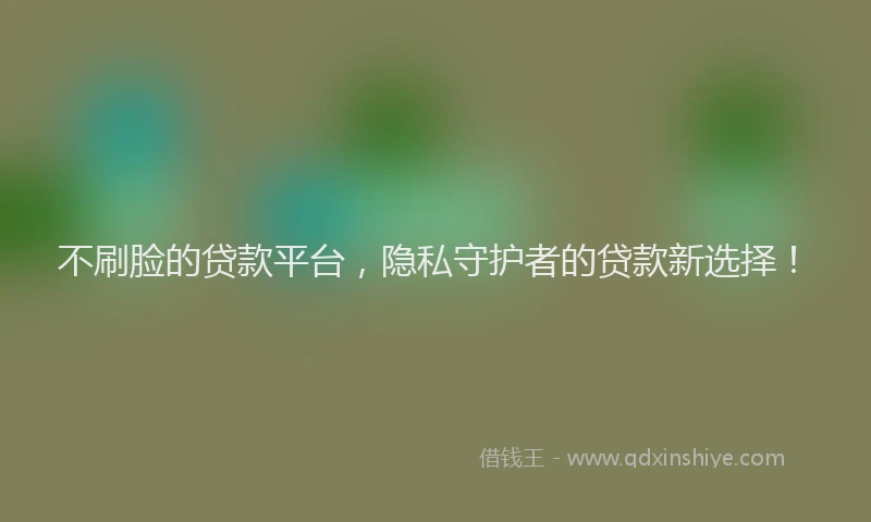 不刷脸的贷款平台，隐私守护者的贷款新选择！
