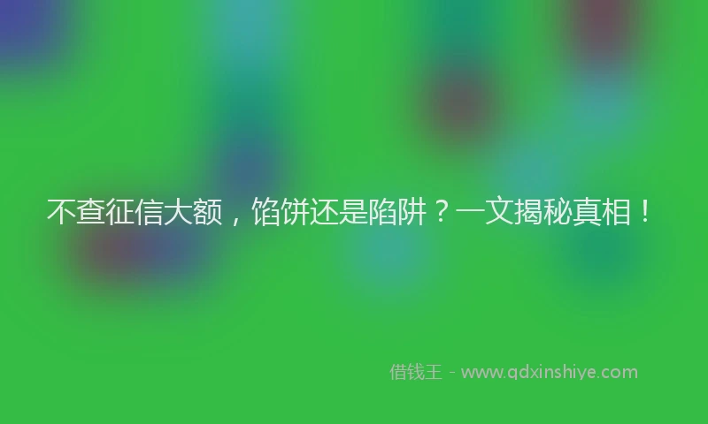 不查征信大额，馅饼还是陷阱？一文揭秘真相！