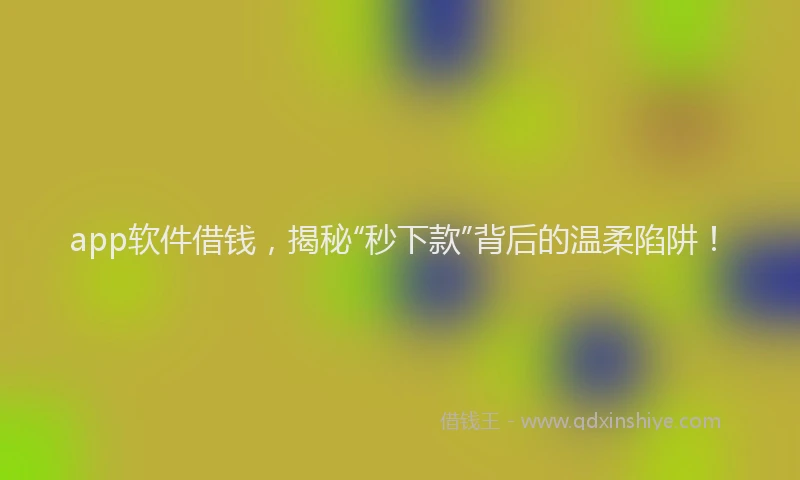 app软件借钱，揭秘“秒下款”背后的温柔陷阱！