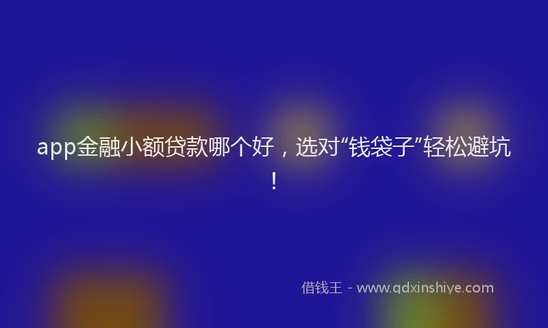 app金融小额贷款哪个好，选对“钱袋子”轻松避坑！