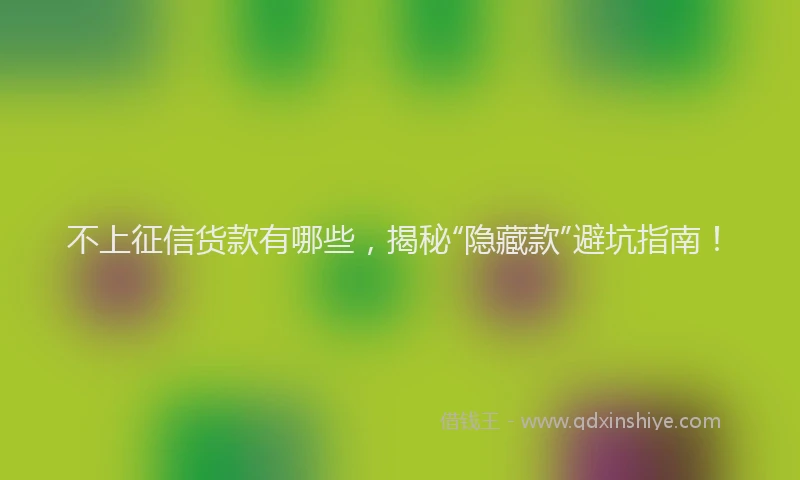 不上征信货款有哪些，揭秘“隐藏款”避坑指南！