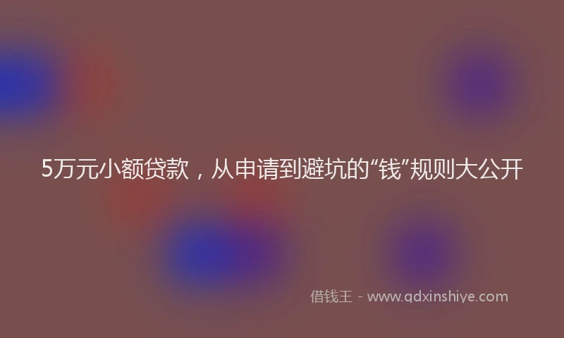 5万元小额贷款，从申请到避坑的“钱”规则大公开