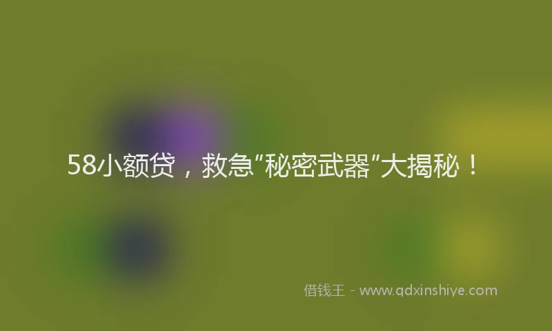 58小额贷，救急“秘密武器”大揭秘！