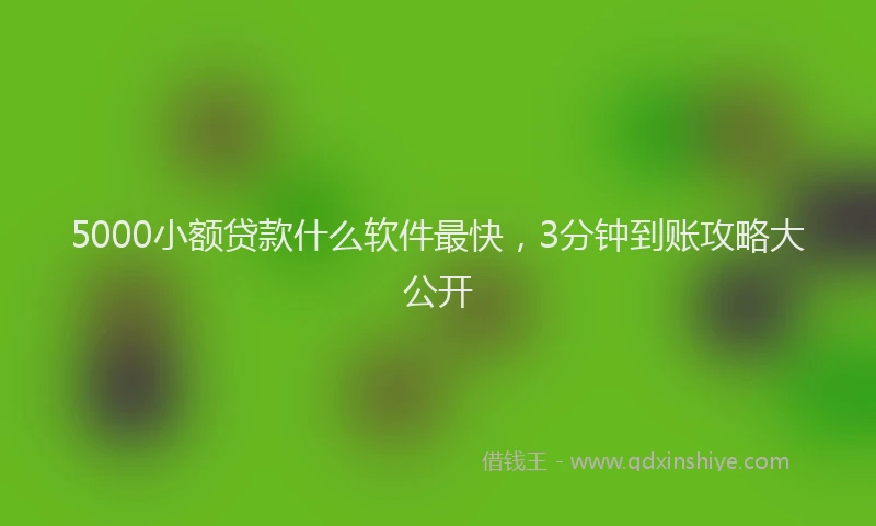 5000小额贷款什么软件最快，3分钟到账攻略大公开