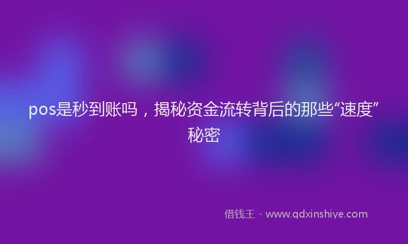 pos是秒到账吗，揭秘资金流转背后的那些“速度”秘密