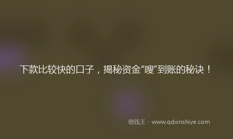 下款比较快的口子，揭秘资金“嗖”到账的秘诀！