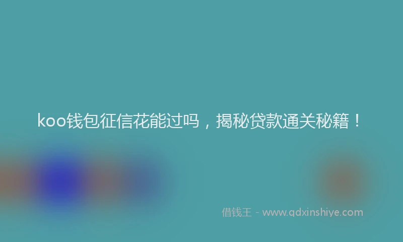 koo钱包征信花能过吗，揭秘贷款通关秘籍！