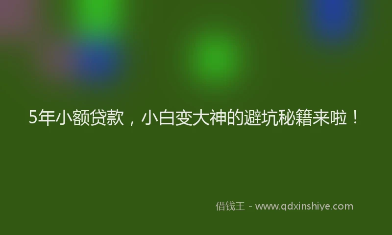 5年小额贷款，小白变大神的避坑秘籍来啦！