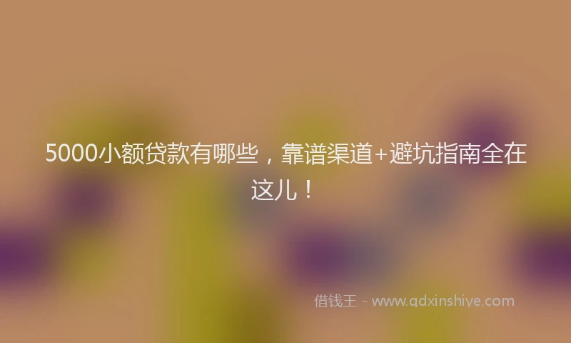 5000小额贷款有哪些，靠谱渠道+避坑指南全在这儿！